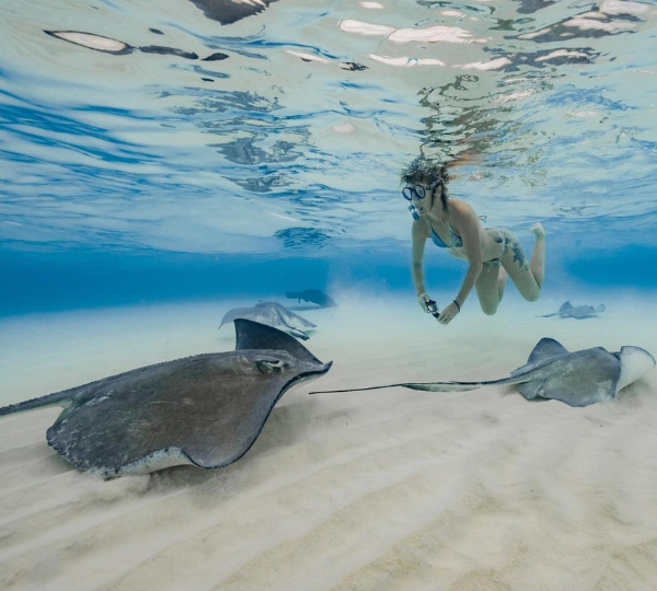Glass Bottom Boat Tour at  Stingray City